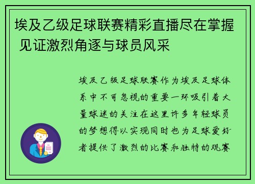 埃及乙级足球联赛精彩直播尽在掌握 见证激烈角逐与球员风采